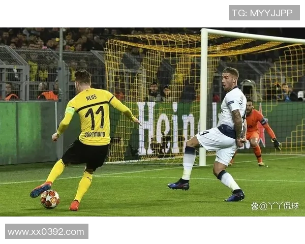 意甲激战：多特蒙德绝杀热刺全场沸腾数据解析引人关注